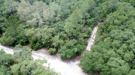 Undeveloped Land in Putnam County, Florida