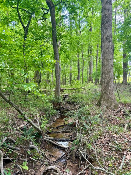 Recreational Property in Oglethorpe County, Georgia