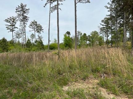Timberland Property in Floyd County, Georgia