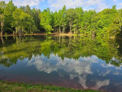 Farm and Ranch in Pike County, Alabama