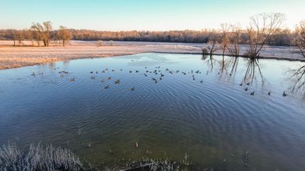 Timberland Property in Howell County, Missouri