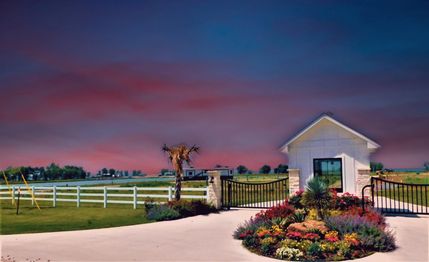 Undeveloped Land in Navarro County, Texas