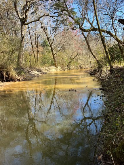 Farm and Ranch in Elmore County, Alabama