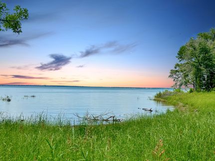 Undeveloped Land in Navarro County, Texas