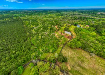 Undeveloped Land in San Augustine County, Texas