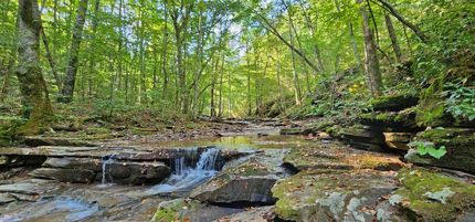 Farm and Ranch in Greenbrier County, West Virginia