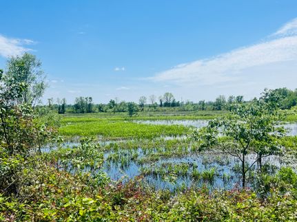 Farm and Ranch in Humphreys County, Mississippi