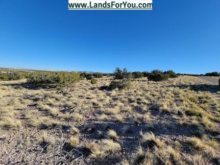 Undeveloped Land in Apache County, Arizona