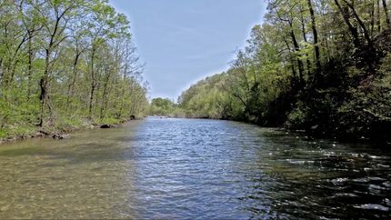 Timberland Property in Madison County, Missouri