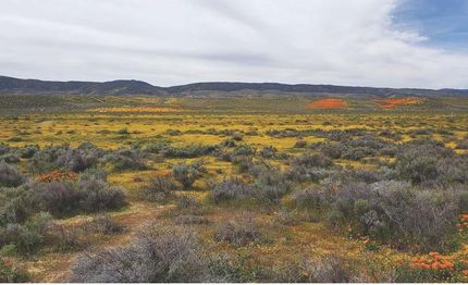 Recreational Property in Los Angeles County, California