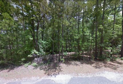 Undeveloped Land in Jasper County, Texas