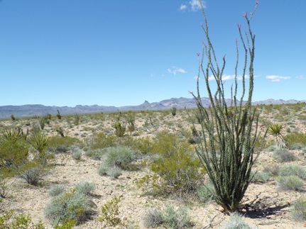 Undeveloped Land in Mohave County, Arizona