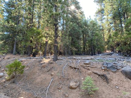 Undeveloped Land in Modoc County, California