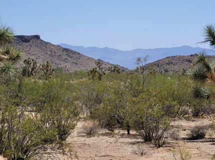 Land in Mohave County, Arizona