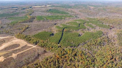 Undeveloped Land in Stewart County, Tennessee