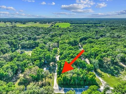 Undeveloped Land in Marion County, Florida