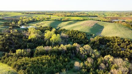 Timberland Property in Decatur County, Iowa