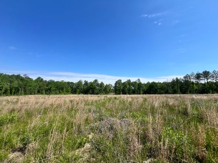 Land in Rankin County, Mississippi