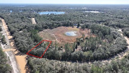 Undeveloped Land in Putnam County, Florida