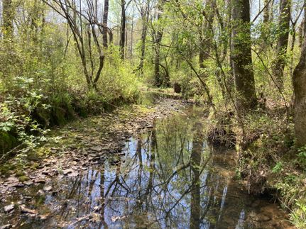 Undeveloped Land in Calhoun County, Alabama