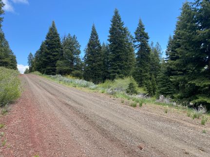 Undeveloped Land in Modoc County, California