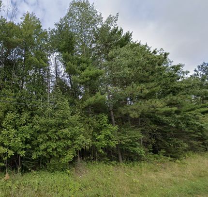 Undeveloped Land in Alpena County, Michigan