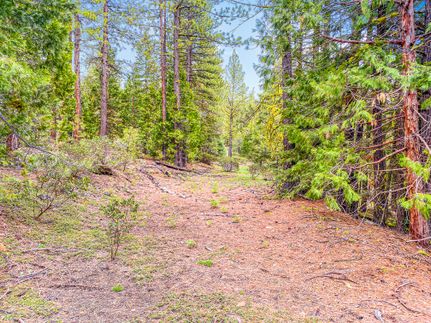 Undeveloped Land in Modoc County, California
