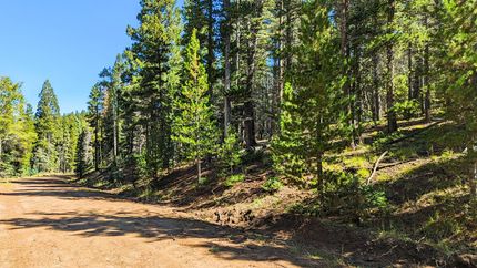 Farm and Ranch in Costilla County, Colorado