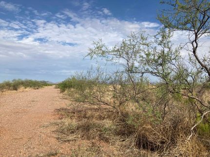 Farm and Ranch for sale in Cochise County, Arizona