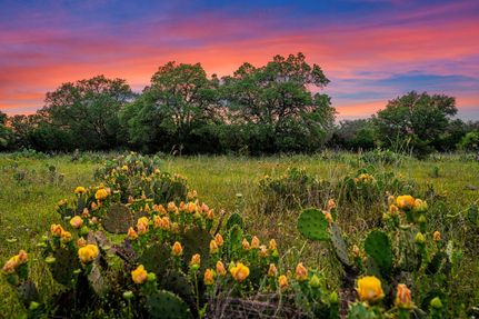 Farm and Ranch in Blanco County, Texas