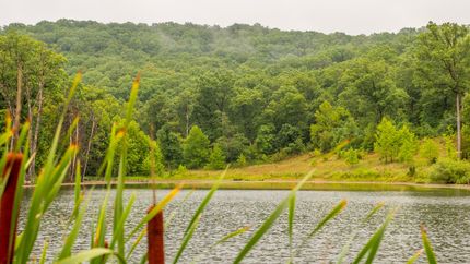 Timberland Property in Montgomery County, Missouri