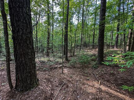 Recreational Property in Neshoba County, Mississippi