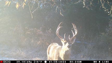 Land in Mercer County, Missouri
