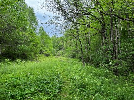 Recreational Property in Blount County, Tennessee