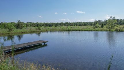 Recreational Property in Red River County, Texas