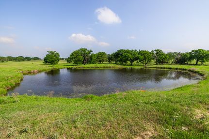 Timberland Property in Hill County, Texas