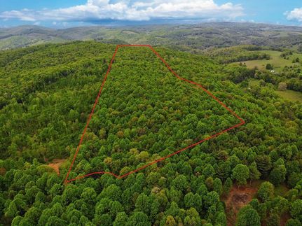 Undeveloped Land in Floyd County, Virginia