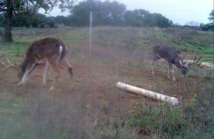 Land in San Saba County, Texas