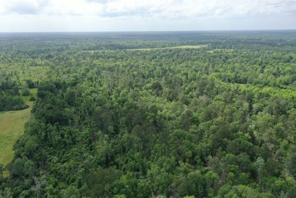 Recreational Property in Saint Helena Parish, Louisiana
