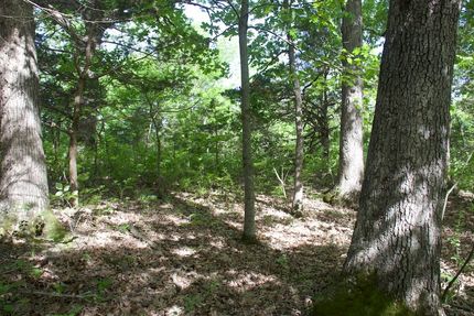 Undeveloped Land in Moniteau County, Missouri