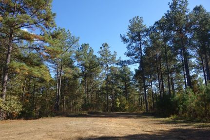 Hunting Property in Fairfield County, South Carolina