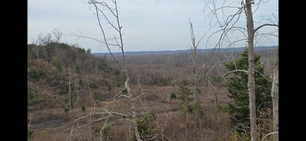 Undeveloped Land in Clarke County, Alabama