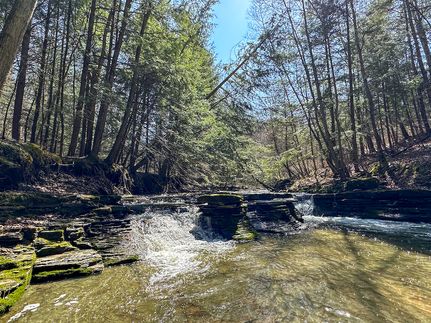 Undeveloped Land in Steuben County, New York