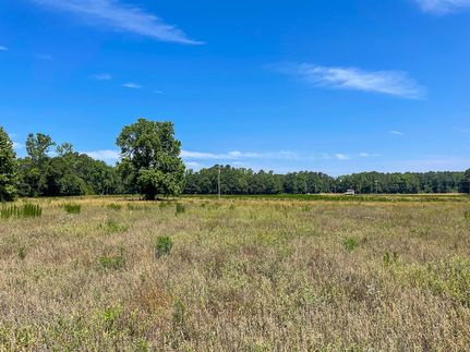 Farm and Ranch in Dillon County, South Carolina
