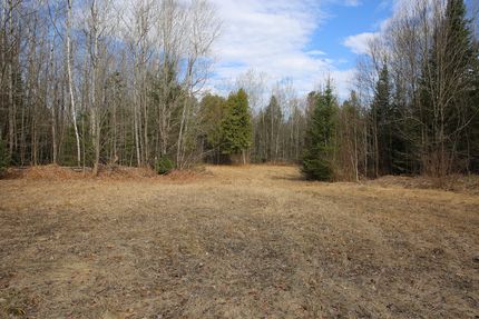 Timberland Property in Price County, Wisconsin