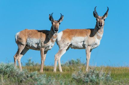 Land for sale in Natrona County, Wyoming