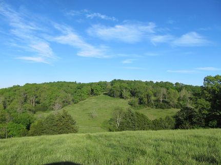 Timberland Property in Madison County, Arkansas