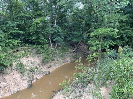 Timberland Property for sale in Shelby County, Texas