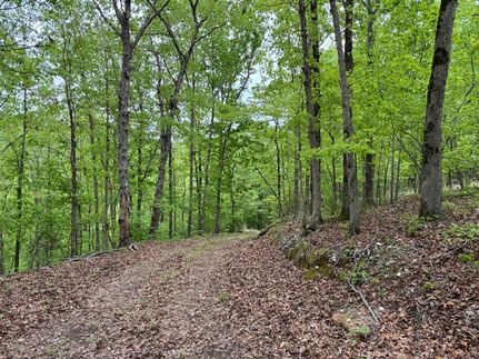 Land for sale in Stone County, Arkansas