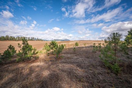 Undeveloped Land in Kootenai County, Idaho